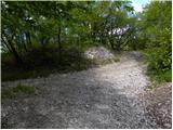 Planina (Dolnja Planina) - Petričev hrib